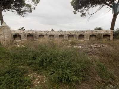 Tutt�intorno a noi, a occupare l�esedra in pietra, compaiono una ventina di quelle che dovevano essere le mangiatoie destinate ai cavalli, dalla forma ad arco ribassato